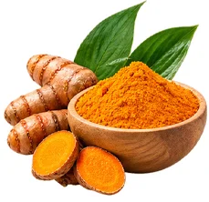 {{OFFER_NAME}} — Extracto de Cúrcuma (Curcuma longa)